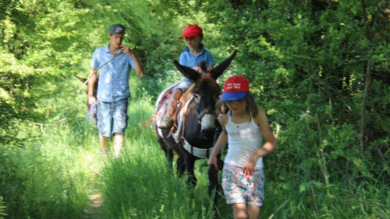 Le Scailleteux - De Charme Cloture, Acces A La Riviere * Fauvillers