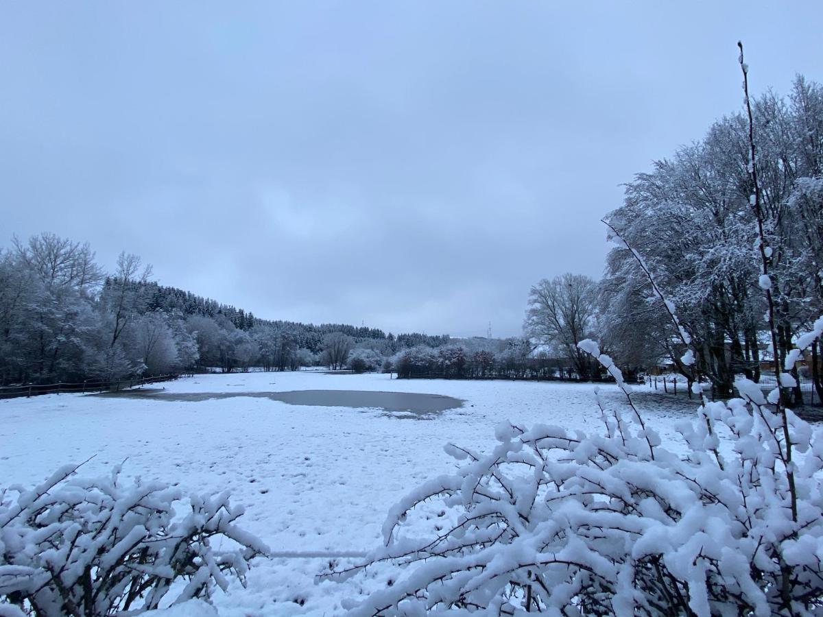 Le Scailleteux - De Charme Cloture, Acces A La Riviere Casa de Férias Fauvillers