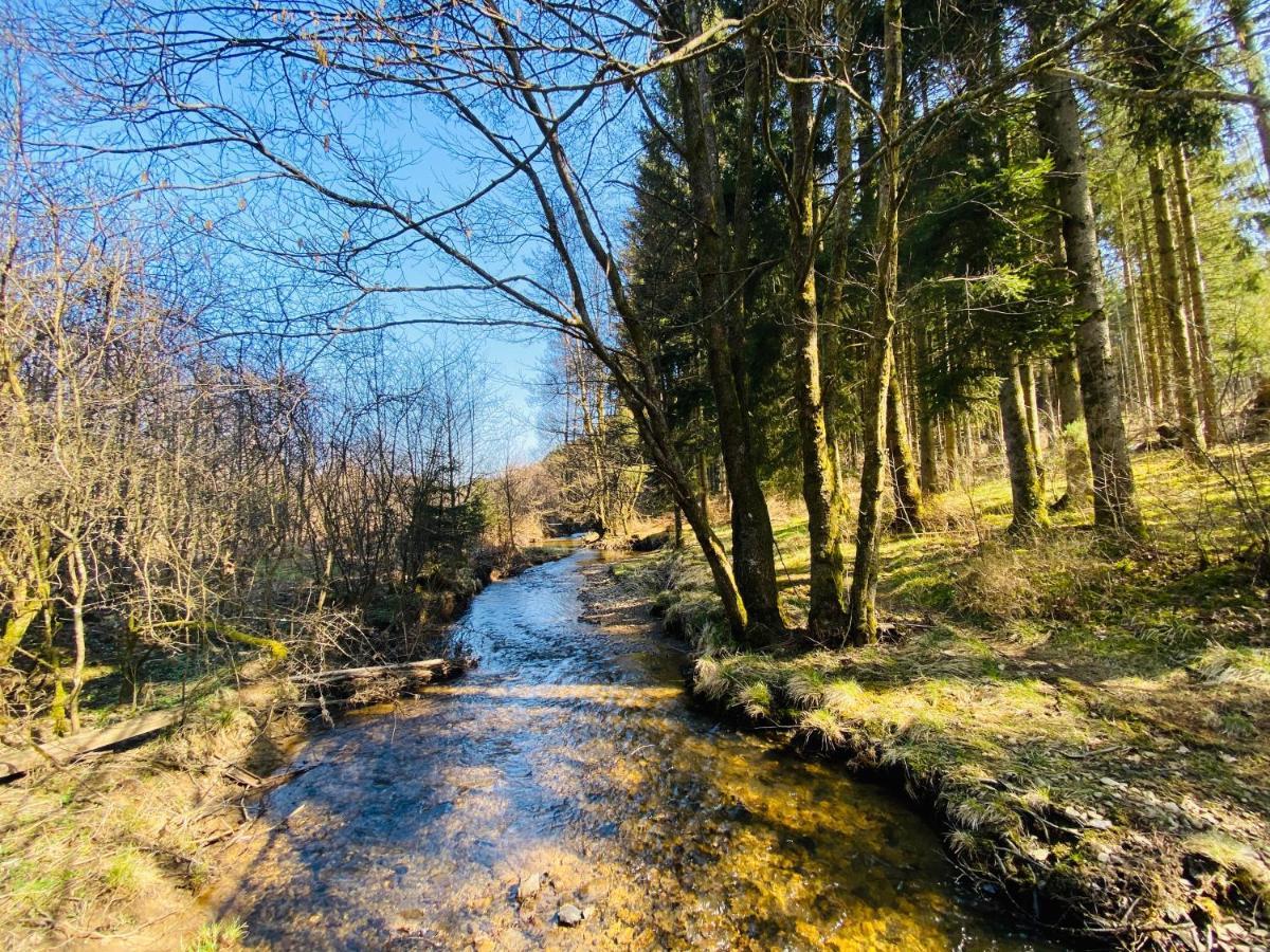 Le Scailleteux - De Charme Cloture, Acces A La Riviere Casa de Férias Fauvillers